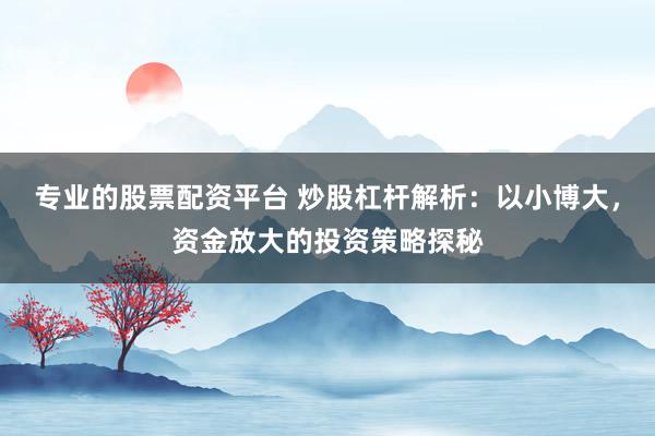 专业的股票配资平台 炒股杠杆解析：以小博大，资金放大的投资策略探秘