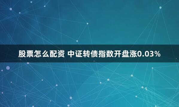 股票怎么配资 中证转债指数开盘涨0.03%