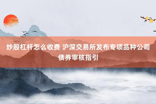 炒股杠杆怎么收费 沪深交易所发布专项品种公司债券审核指引