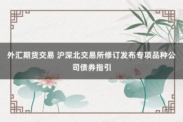 外汇期货交易 沪深北交易所修订发布专项品种公司债券指引