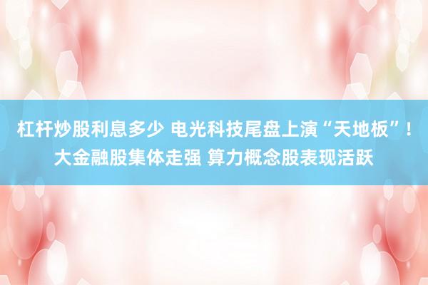 杠杆炒股利息多少 电光科技尾盘上演“天地板”！大金融股集体走强 算力概念股表现活跃