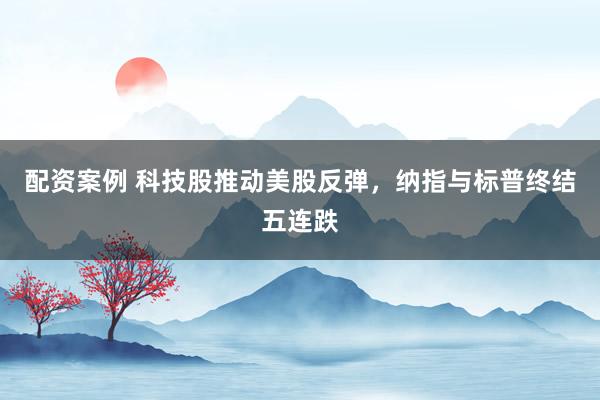 配资案例 科技股推动美股反弹，纳指与标普终结五连跌