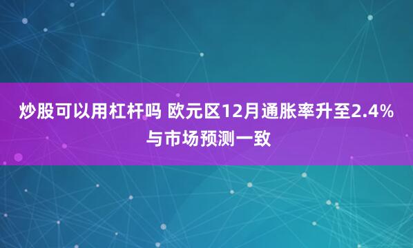 炒股可以用杠杆吗 欧元区12月通胀率升至2.4% 与市场预测一致