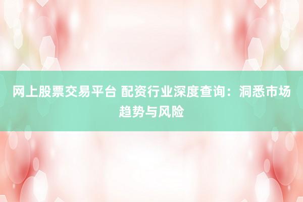 网上股票交易平台 配资行业深度查询：洞悉市场趋势与风险