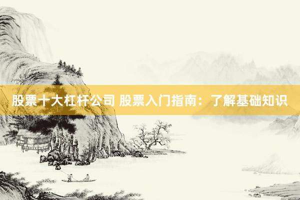 股票十大杠杆公司 股票入门指南：了解基础知识