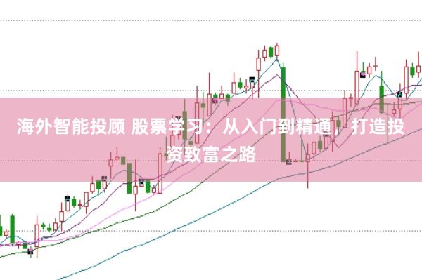 海外智能投顾 股票学习：从入门到精通，打造投资致富之路