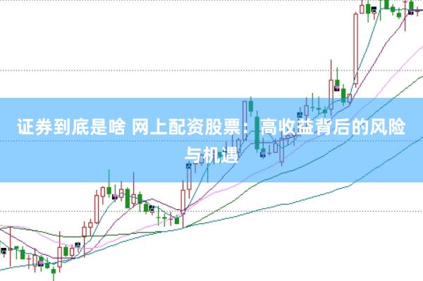 证券到底是啥 网上配资股票：高收益背后的风险与机遇