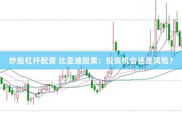 炒股杠杆配资 比亚迪股票：投资机会还是风险？