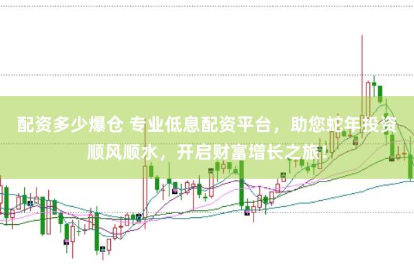 配资多少爆仓 专业低息配资平台，助您蛇年投资顺风顺水，开启财富增长之旅！