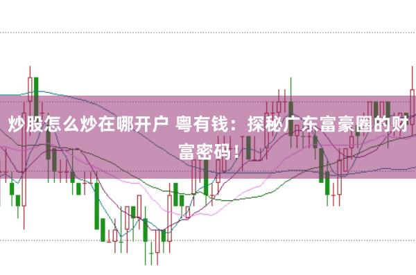 炒股怎么炒在哪开户 粤有钱：探秘广东富豪圈的财富密码！