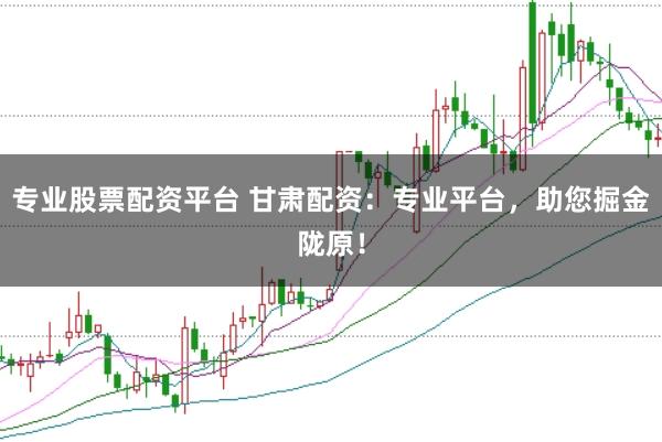 专业股票配资平台 甘肃配资：专业平台，助您掘金陇原！