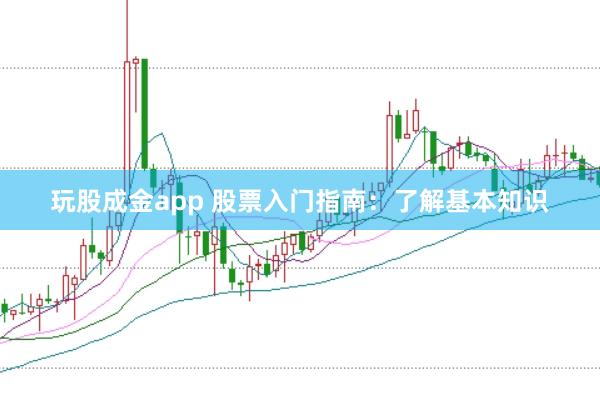 玩股成金app 股票入门指南：了解基本知识