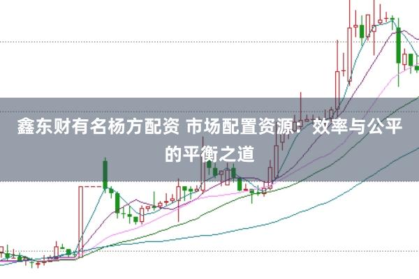 鑫东财有名杨方配资 市场配置资源：效率与公平的平衡之道