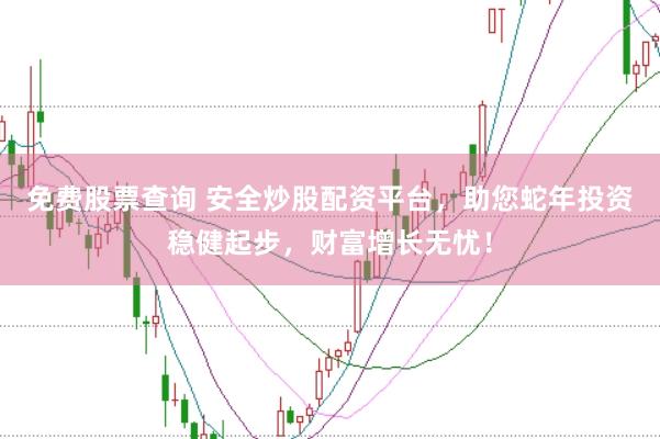 免费股票查询 安全炒股配资平台，助您蛇年投资稳健起步，财富增长无忧！