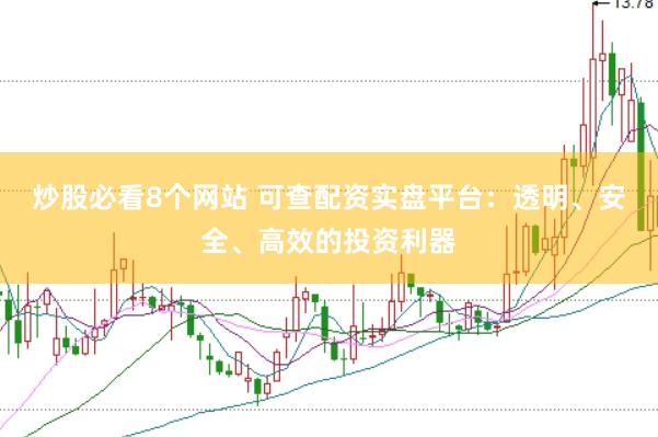 炒股必看8个网站 可查配资实盘平台：透明、安全、高效的投资利器