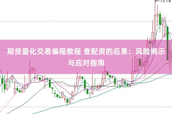 期货量化交易编程教程 查配资的后果：风险揭示与应对指南