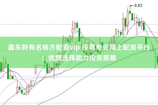 鑫东财有名杨方配资vip 探寻专业网上配资平台：优质选择助力投资策略
