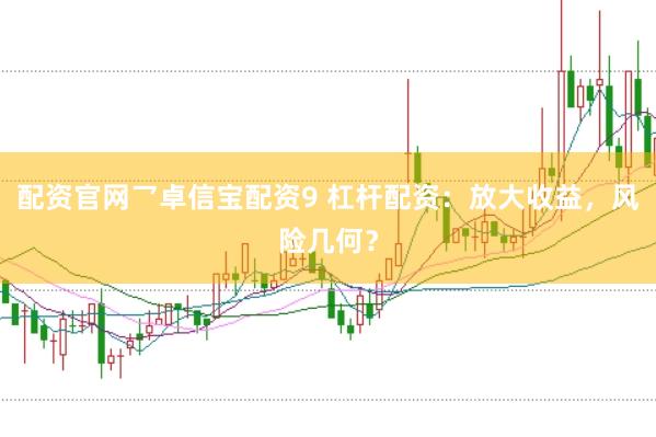 配资官网乛卓信宝配资9 杠杆配资：放大收益，风险几何？