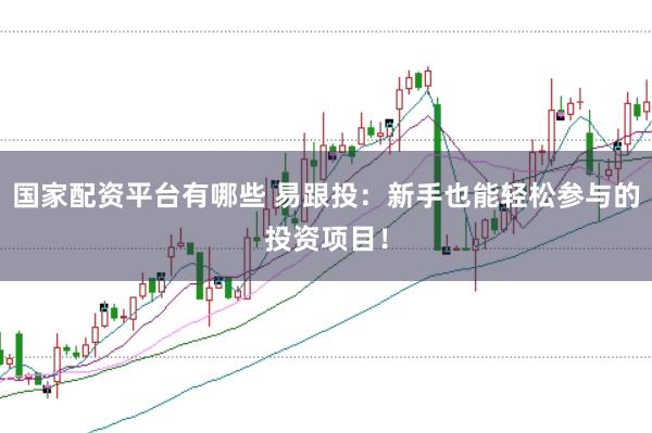 国家配资平台有哪些 易跟投：新手也能轻松参与的投资项目！