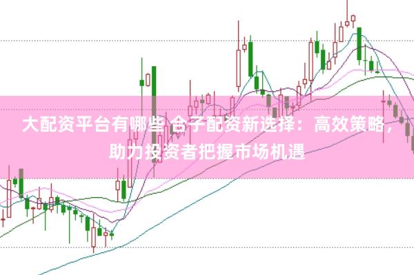 大配资平台有哪些 合子配资新选择：高效策略，助力投资者把握市场机遇