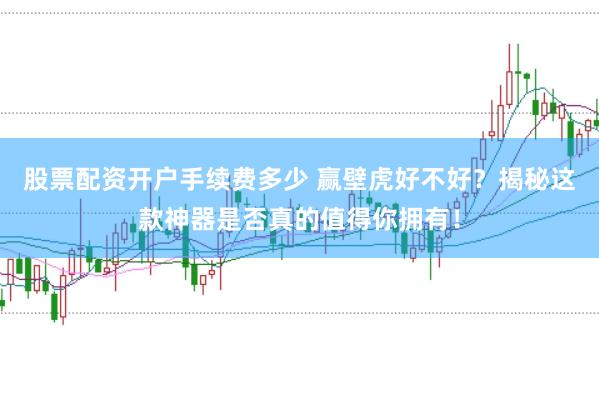 股票配资开户手续费多少 赢壁虎好不好？揭秘这款神器是否真的值得你拥有！