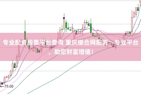 专业配资股票平台查询 重庆撮合网配资：专业平台，助您财富增值！