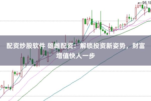 配资炒股软件 雄雌配资：解锁投资新姿势，财富增值快人一步