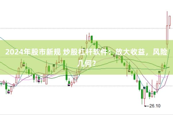 2024年股市新规 炒股杠杆软件：放大收益，风险几何？