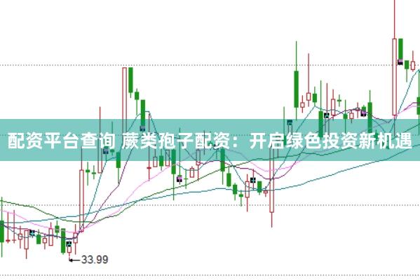 配资平台查询 蕨类孢子配资：开启绿色投资新机遇