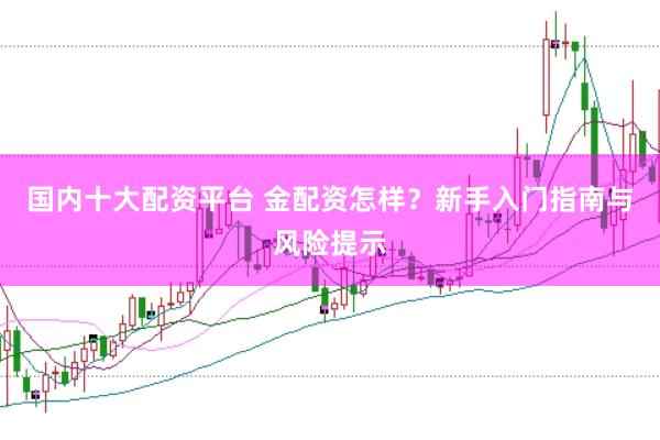 国内十大配资平台 金配资怎样？新手入门指南与风险提示
