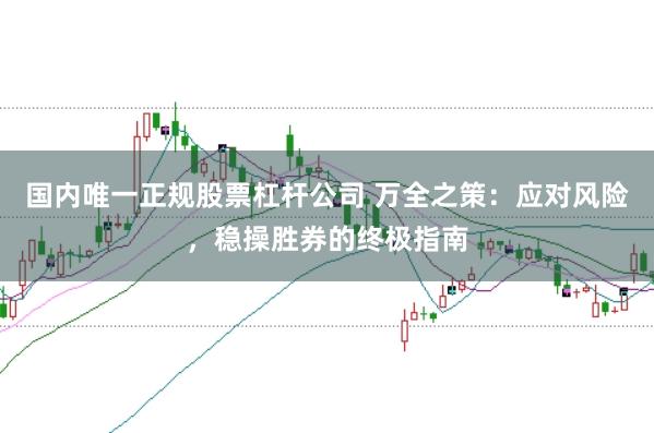 国内唯一正规股票杠杆公司 万全之策：应对风险，稳操胜券的终极指南