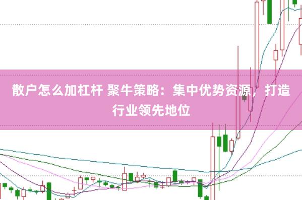 散户怎么加杠杆 聚牛策略：集中优势资源，打造行业领先地位