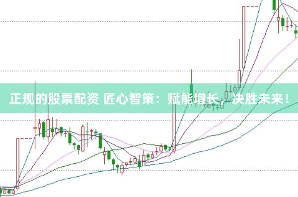 正规的股票配资 匠心智策：赋能增长，决胜未来！