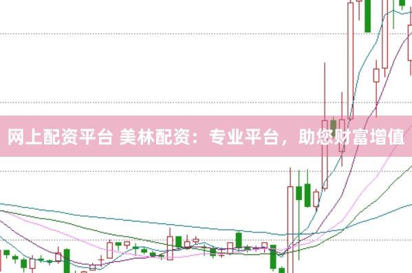 网上配资平台 美林配资：专业平台，助您财富增值