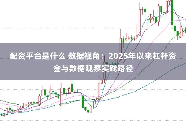 配资平台是什么 数据视角:2025年以来杠杆资金与数据观察实践路径