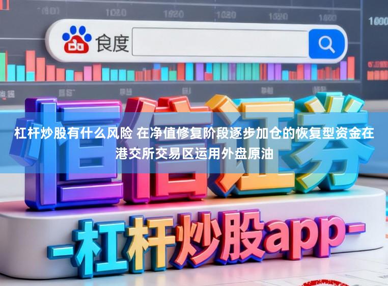 杠杆炒股有什么风险 在净值修复阶段逐步加仓的恢复型资金在港交所交易区运用外盘原油